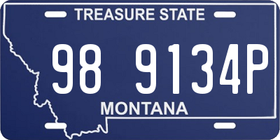 MT license plate 989134P
