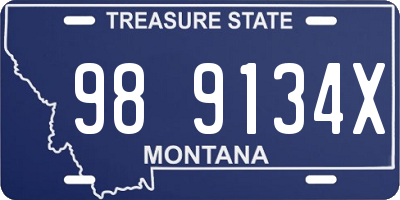 MT license plate 989134X