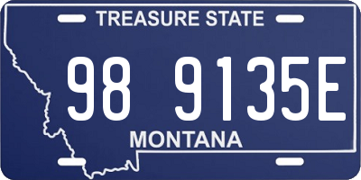 MT license plate 989135E