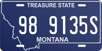 MT license plate 989135S