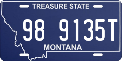 MT license plate 989135T