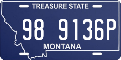 MT license plate 989136P