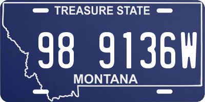 MT license plate 989136W