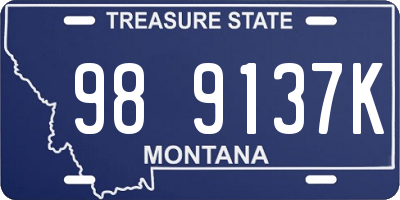 MT license plate 989137K