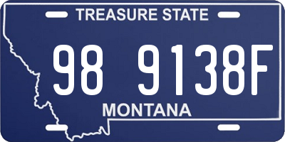 MT license plate 989138F