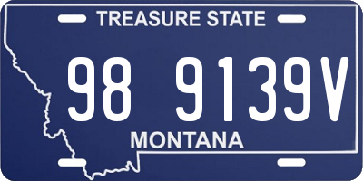 MT license plate 989139V