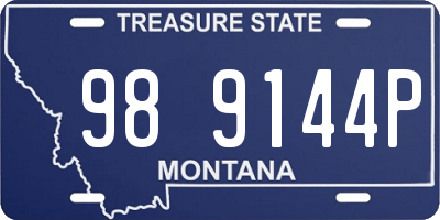 MT license plate 989144P
