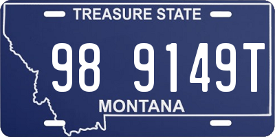 MT license plate 989149T