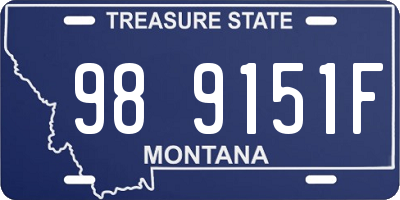 MT license plate 989151F