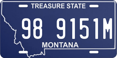 MT license plate 989151M