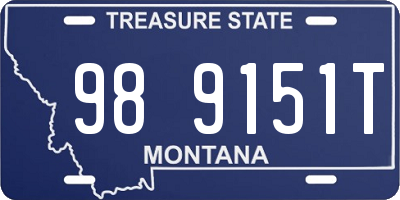 MT license plate 989151T