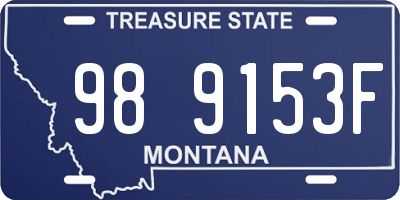 MT license plate 989153F