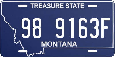 MT license plate 989163F