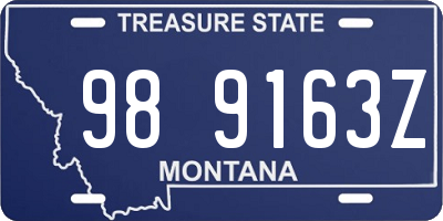 MT license plate 989163Z