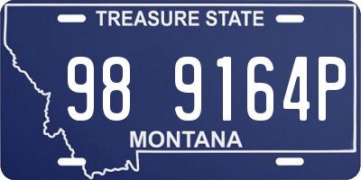 MT license plate 989164P