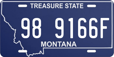 MT license plate 989166F