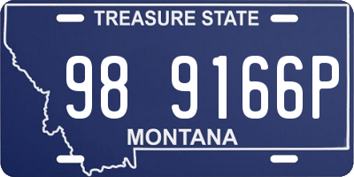 MT license plate 989166P