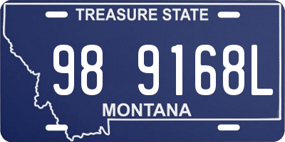 MT license plate 989168L