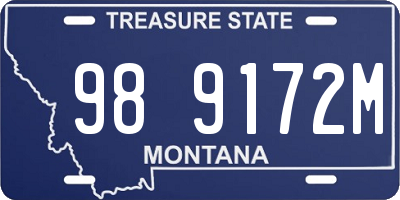 MT license plate 989172M