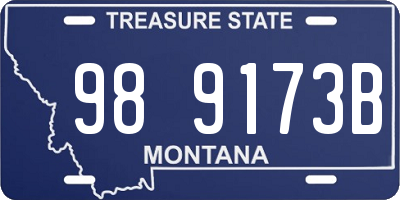 MT license plate 989173B