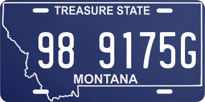 MT license plate 989175G