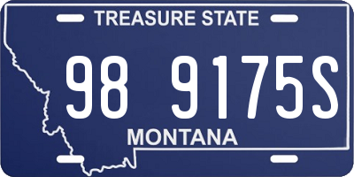 MT license plate 989175S