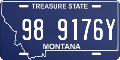 MT license plate 989176Y