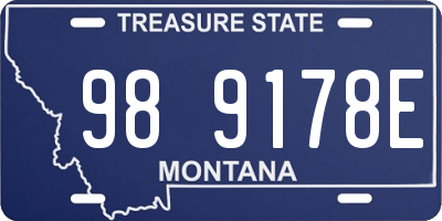 MT license plate 989178E