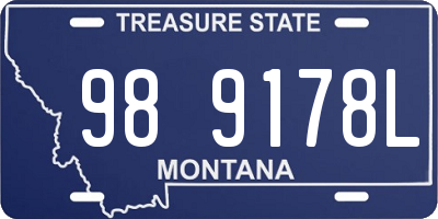 MT license plate 989178L