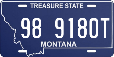 MT license plate 989180T