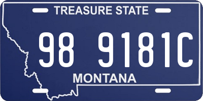 MT license plate 989181C