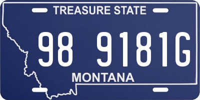 MT license plate 989181G