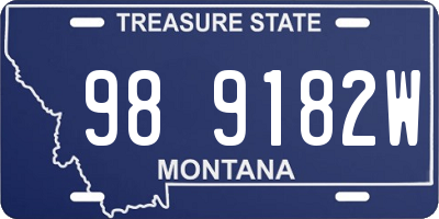 MT license plate 989182W