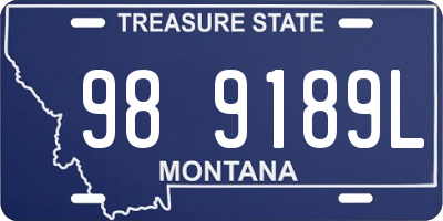 MT license plate 989189L