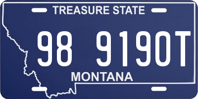 MT license plate 989190T