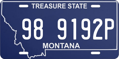 MT license plate 989192P