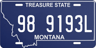 MT license plate 989193L