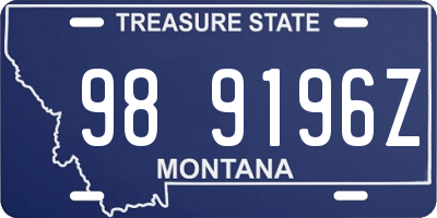 MT license plate 989196Z