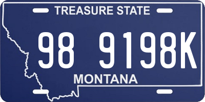 MT license plate 989198K