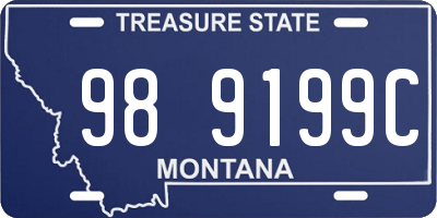 MT license plate 989199C