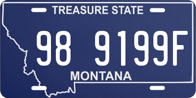 MT license plate 989199F