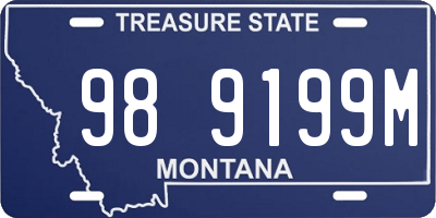 MT license plate 989199M