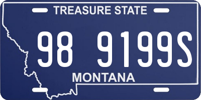 MT license plate 989199S