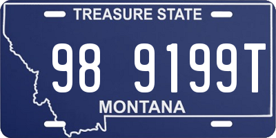 MT license plate 989199T