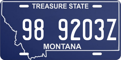 MT license plate 989203Z