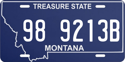 MT license plate 989213B