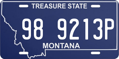 MT license plate 989213P
