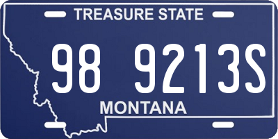 MT license plate 989213S