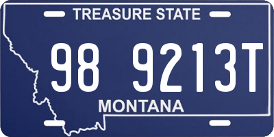 MT license plate 989213T