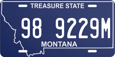 MT license plate 989229M